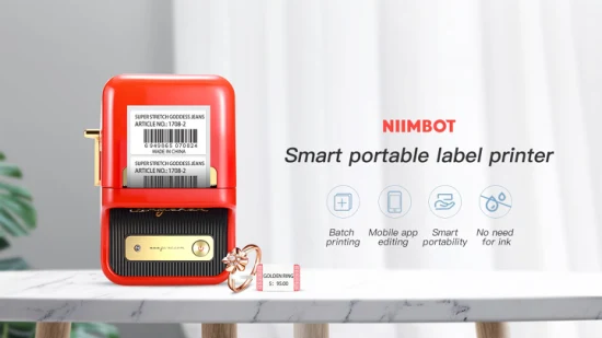 Mini stampante portatile per etichette con codice a barre Niimbot B21 per adesivi termici per gioielli